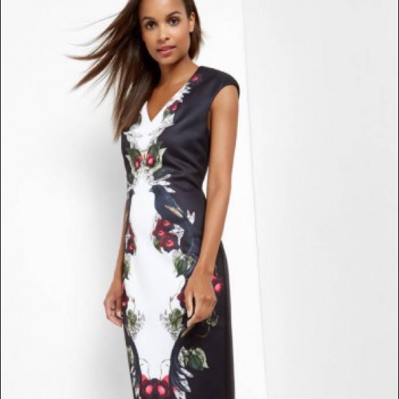 ted baker bird print dress